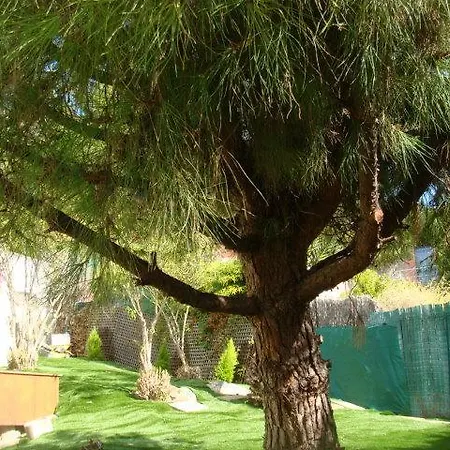 Cap Au Sud,vue Panoramique Mer,piscine *