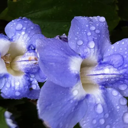 Cap Au Sud,vue Panoramique Mer,piscine
