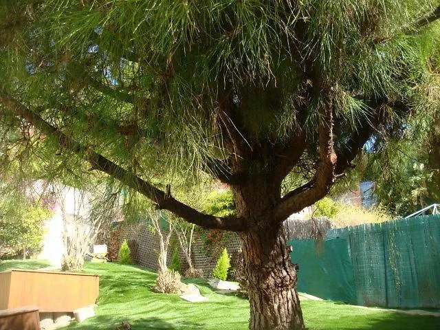 Cap Au Sud,vue Panoramique Mer,piscine *